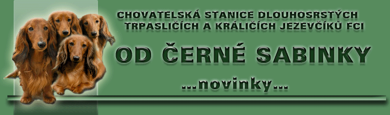 �vodn� str�nka www.sabinky.cz